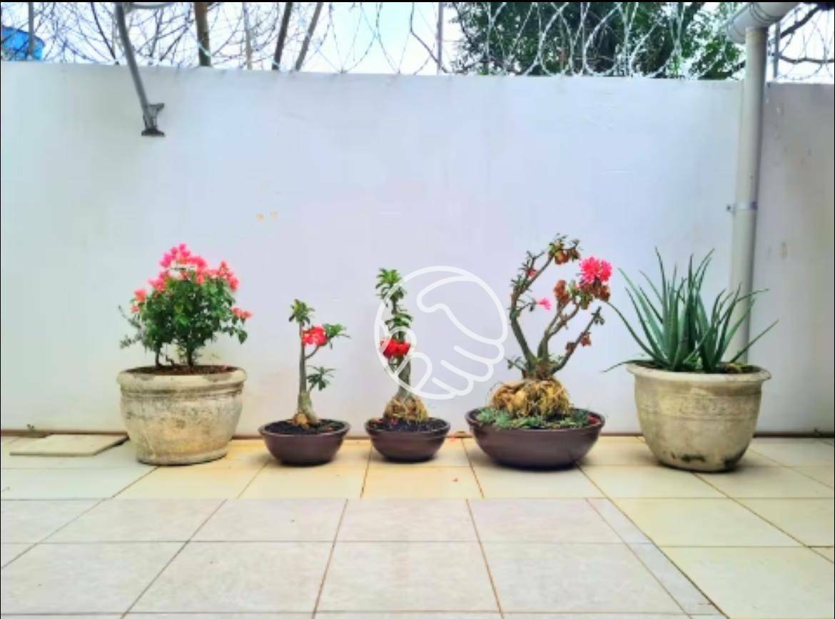 Casa, 4 quartos, 300 m² - Foto 43