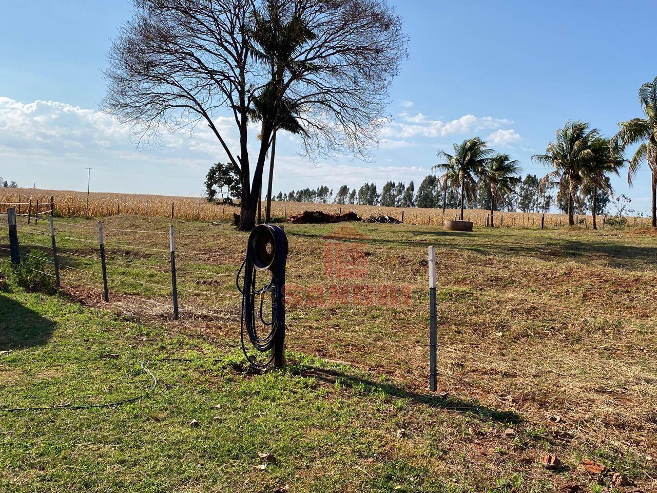 Sítio, 2 hectares - Foto 15