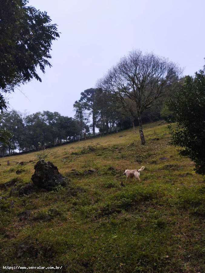 Fazenda à venda, 2m² - Foto 5