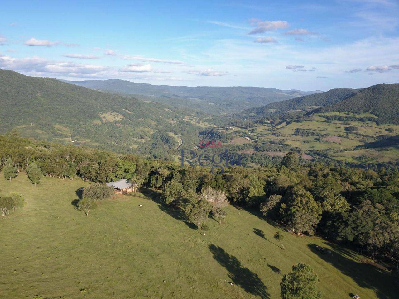 Sítio à venda com 3 quartos, 312229M2 - Foto 12