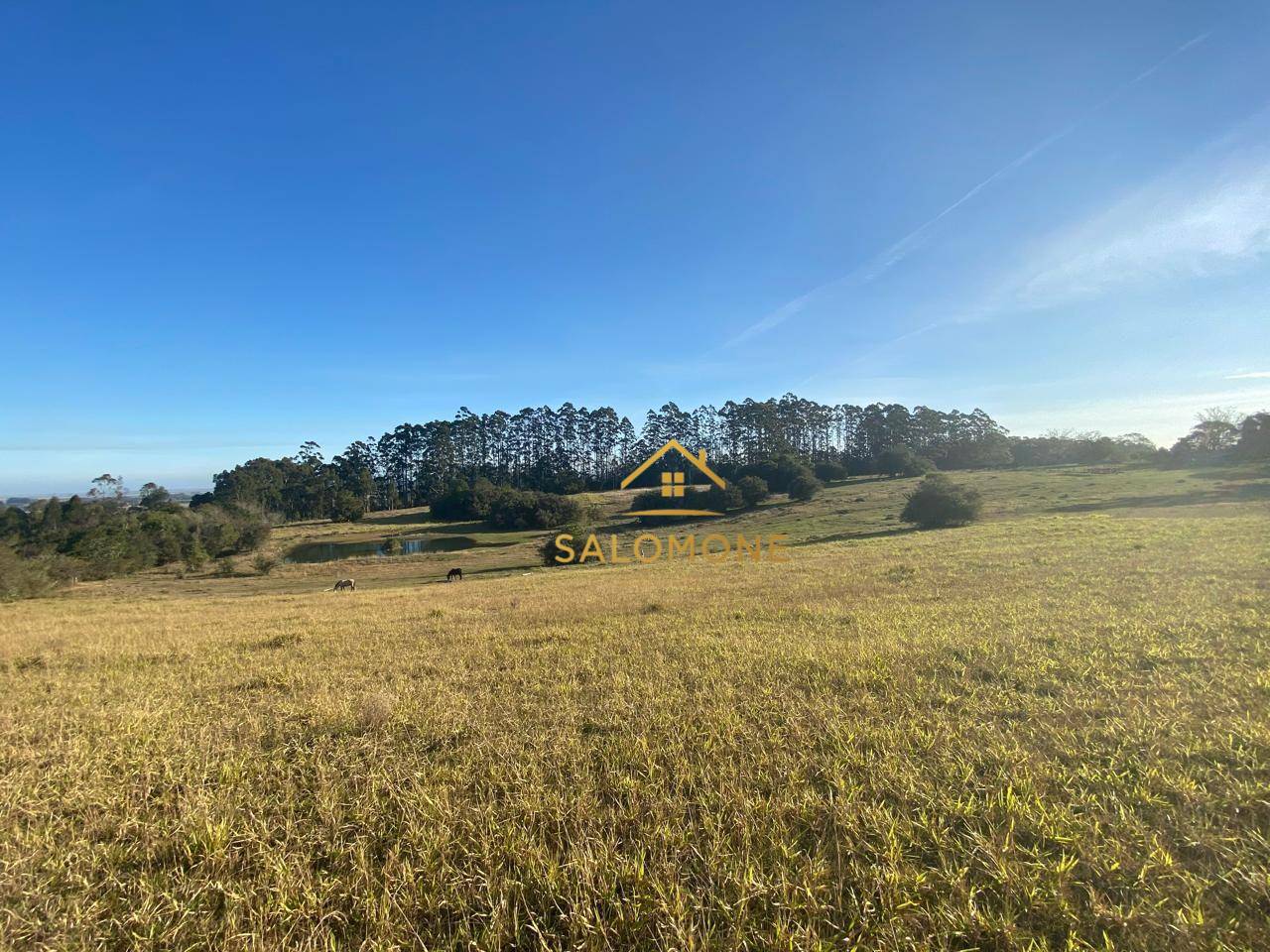 Sítio, 13 hectares - Foto 13