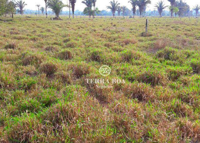 Fazenda à venda, 1790800M2 - Foto 5