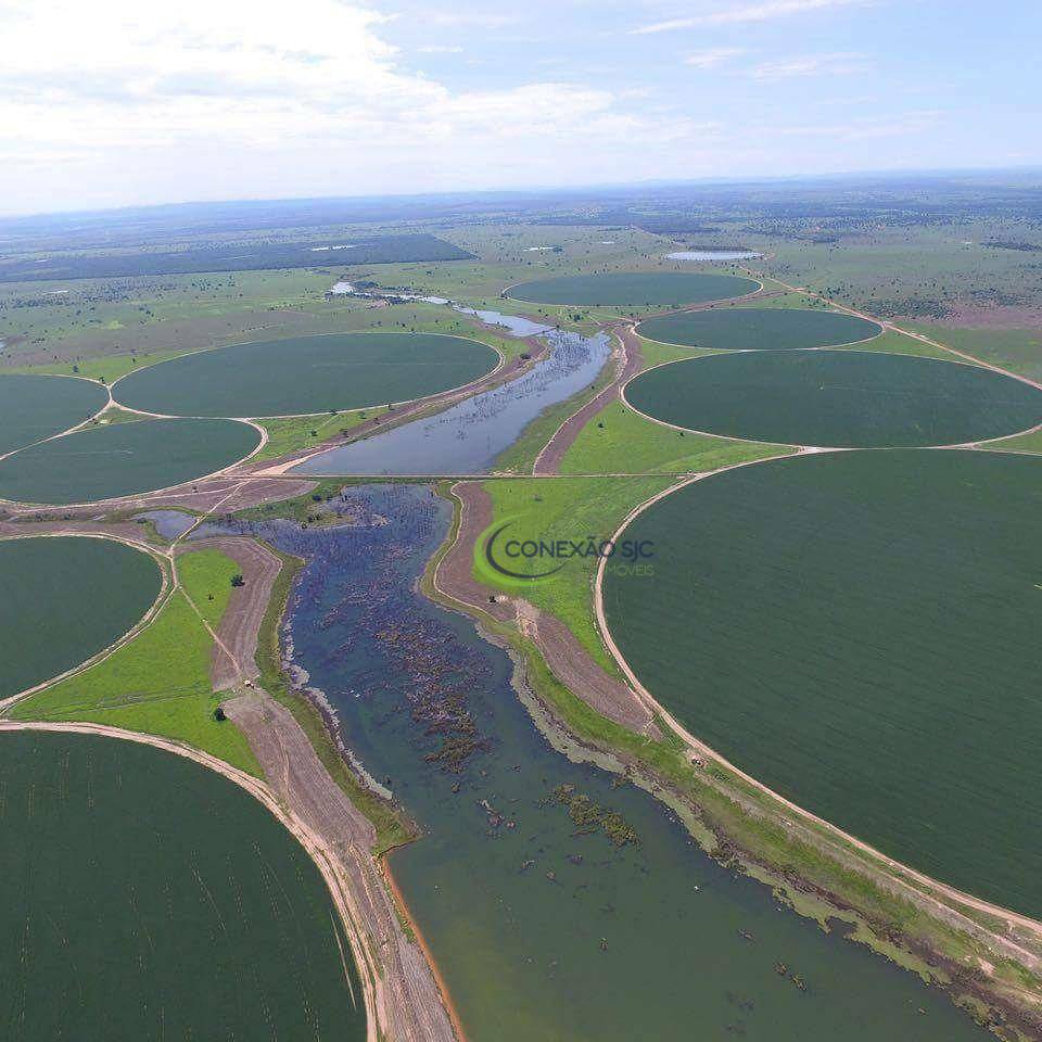 Fazenda à venda com 4 quartos, 56140000M2 - Foto 16