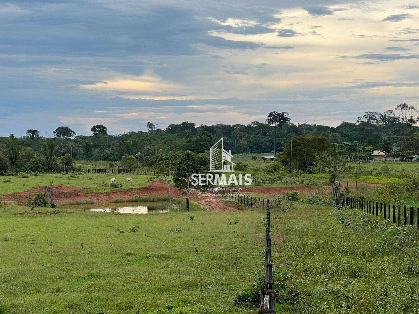 Fazenda à venda, 7719800M2 - Foto 11