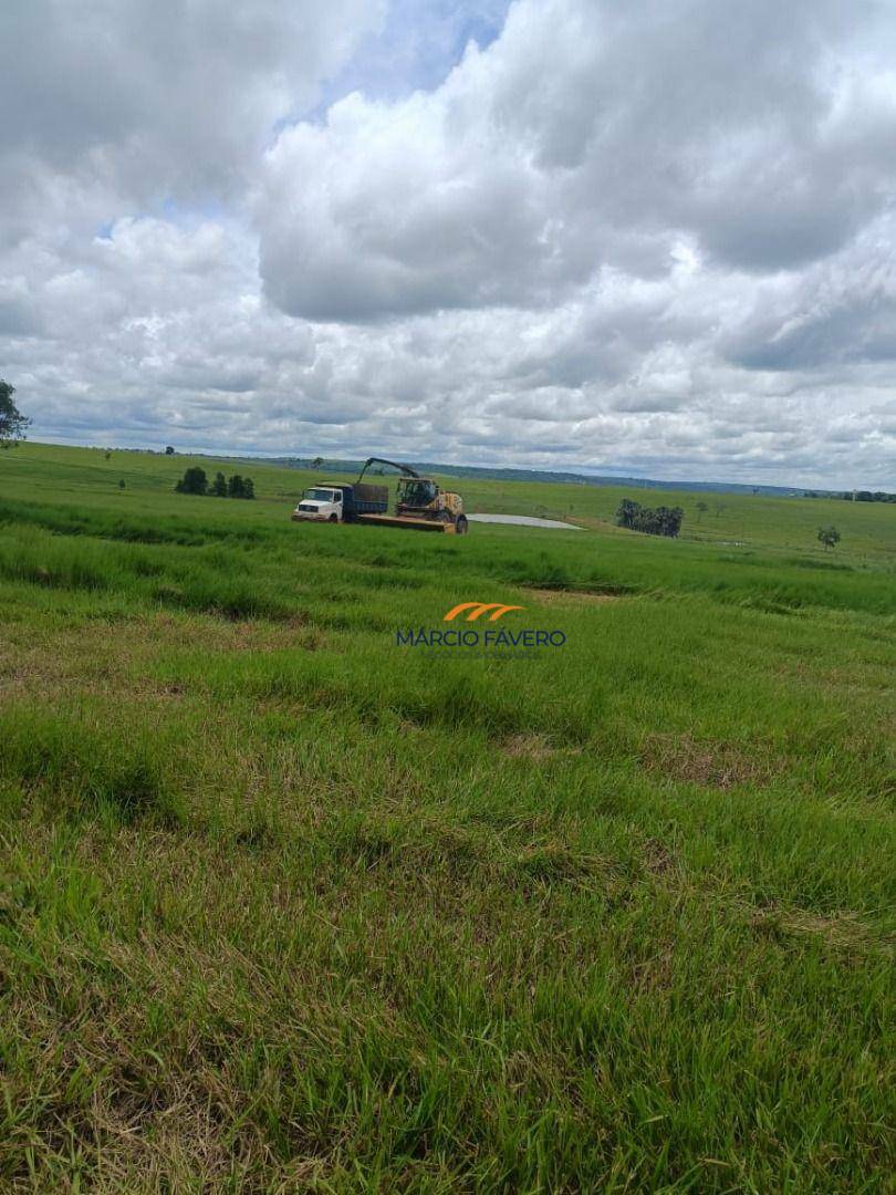 Fazenda à venda, 5420000M2 - Foto 3