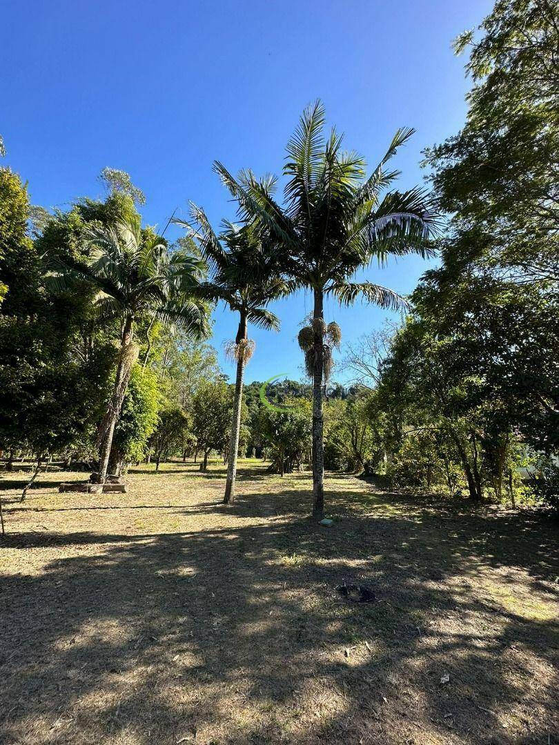 Chácara à venda com 3 quartos, 5000M2 - Foto 31