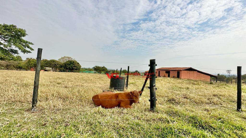 Haras e Área Rural Padrão à venda com 3 quartos, 169400M2 - Foto 7