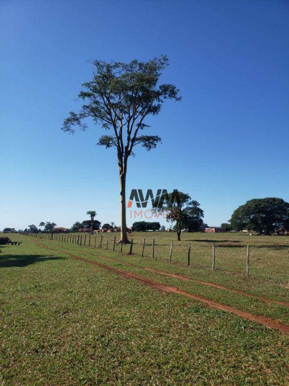 Fazenda à venda, 10769000M2 - Foto 18