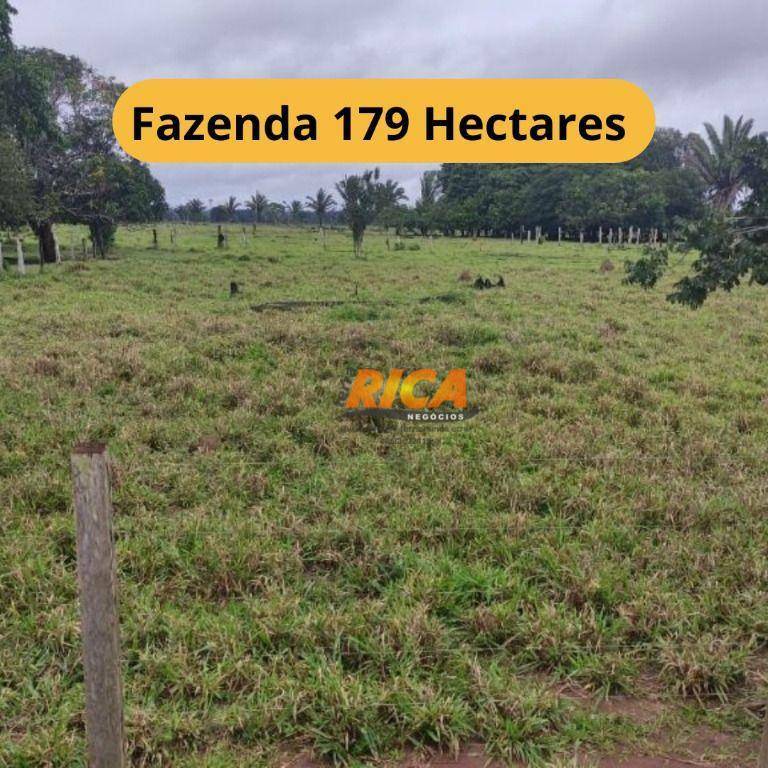Fazenda-Sítio-Chácara, 179 hectares - Foto 1