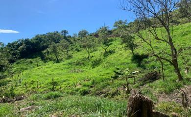 Fazenda à venda com 1 quarto, 210000m² - Foto 8