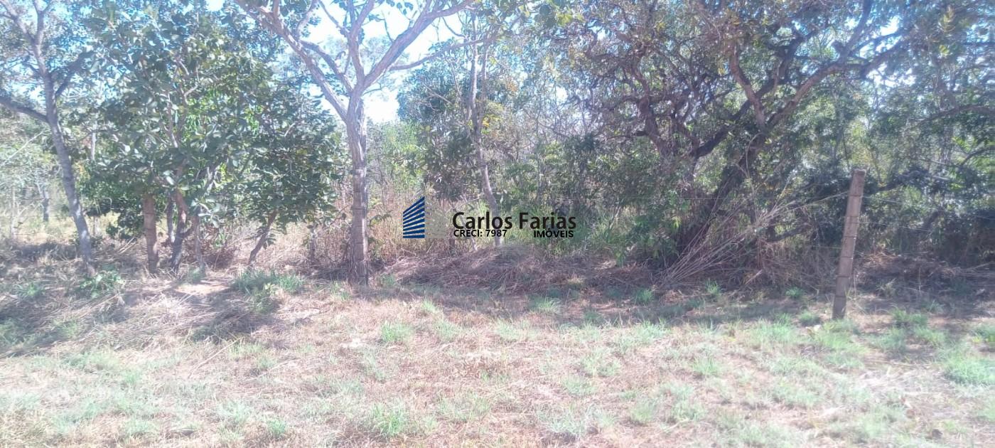 Chácara à venda, 20000m² - Foto 6