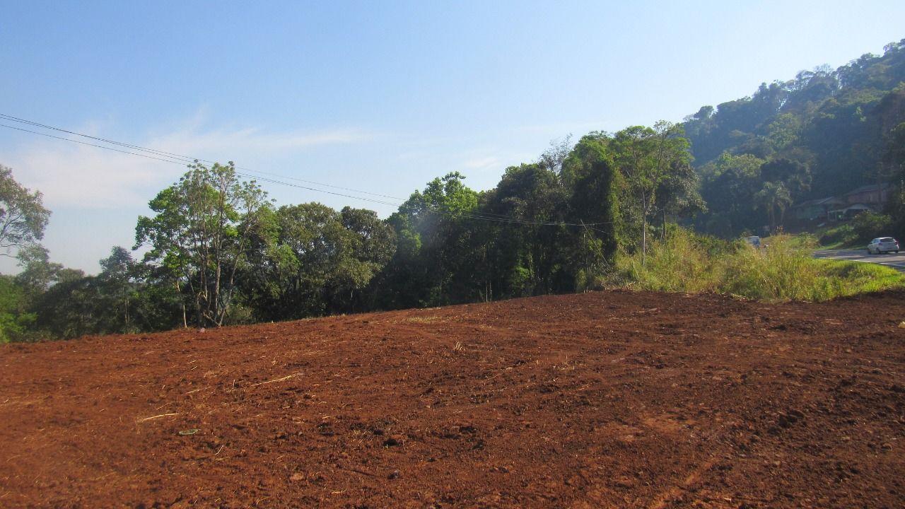 Terreno à venda, 28000m² - Foto 7