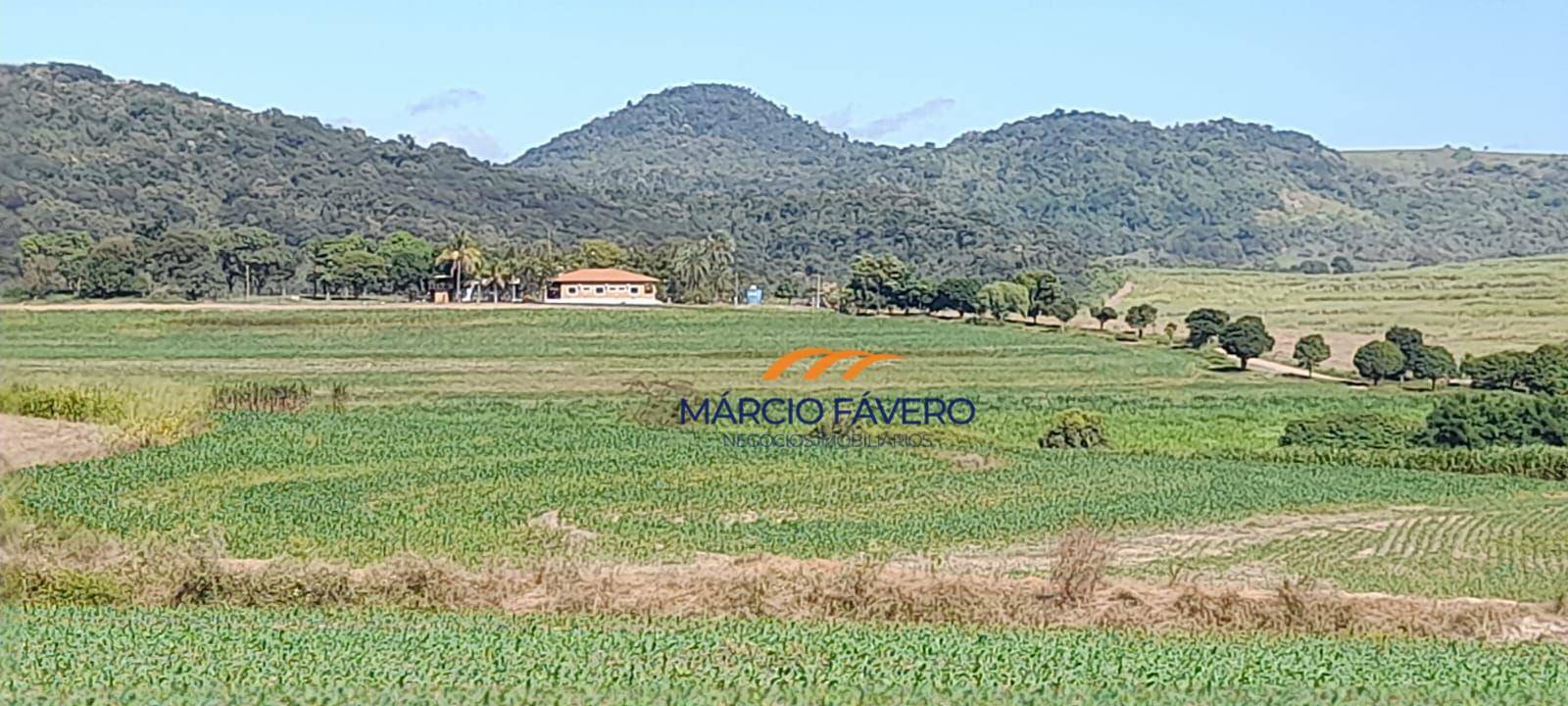 Fazenda, 173 hectares - Foto 5