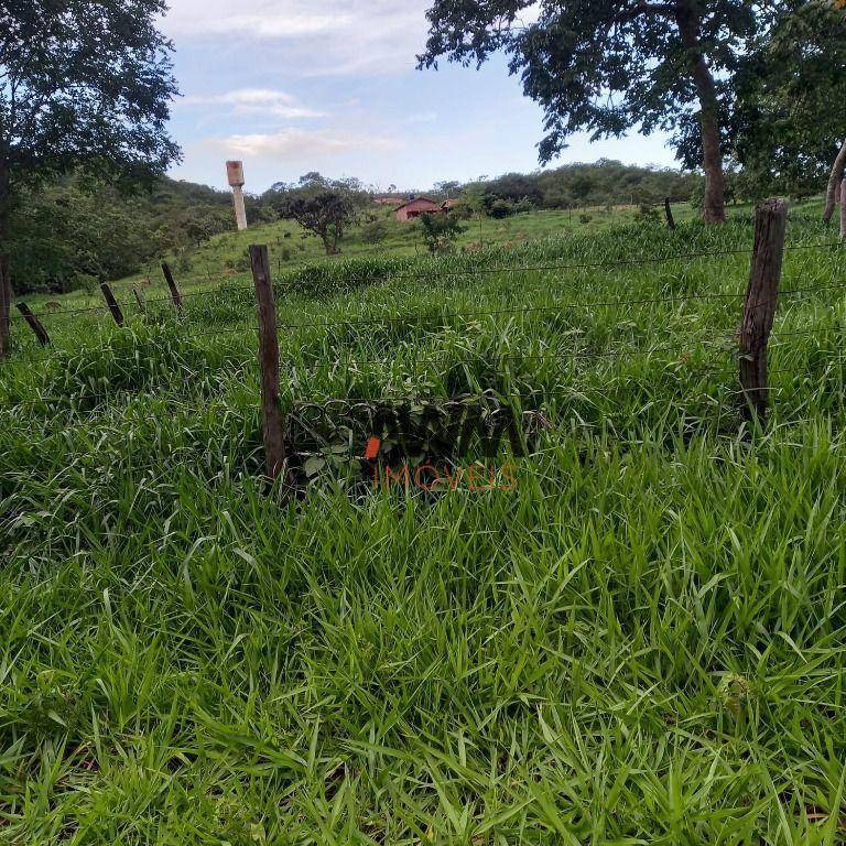 Fazenda-Sítio-Chácara, 155 hectares - Foto 4