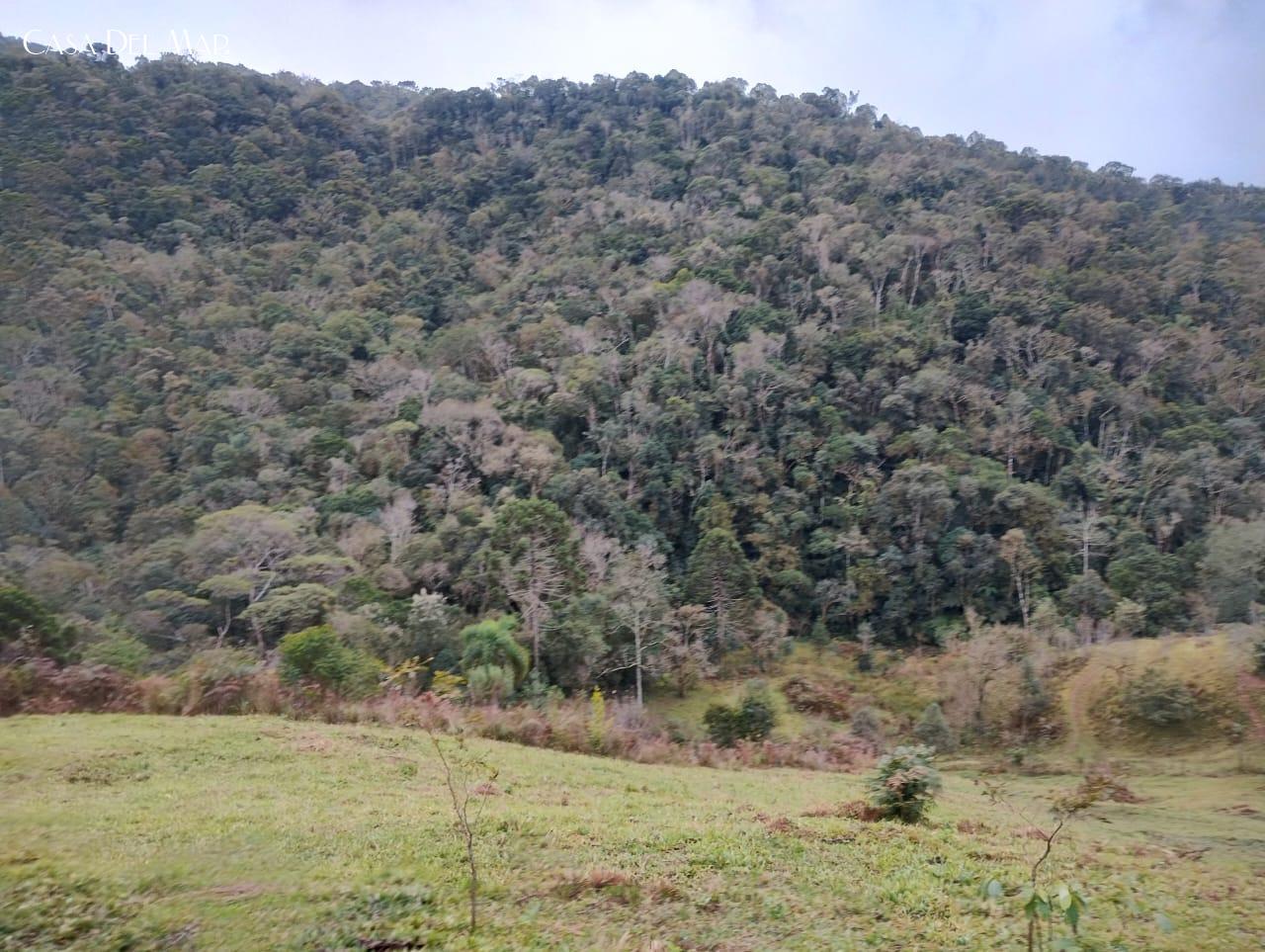 Fazenda à venda, 20000m² - Foto 7