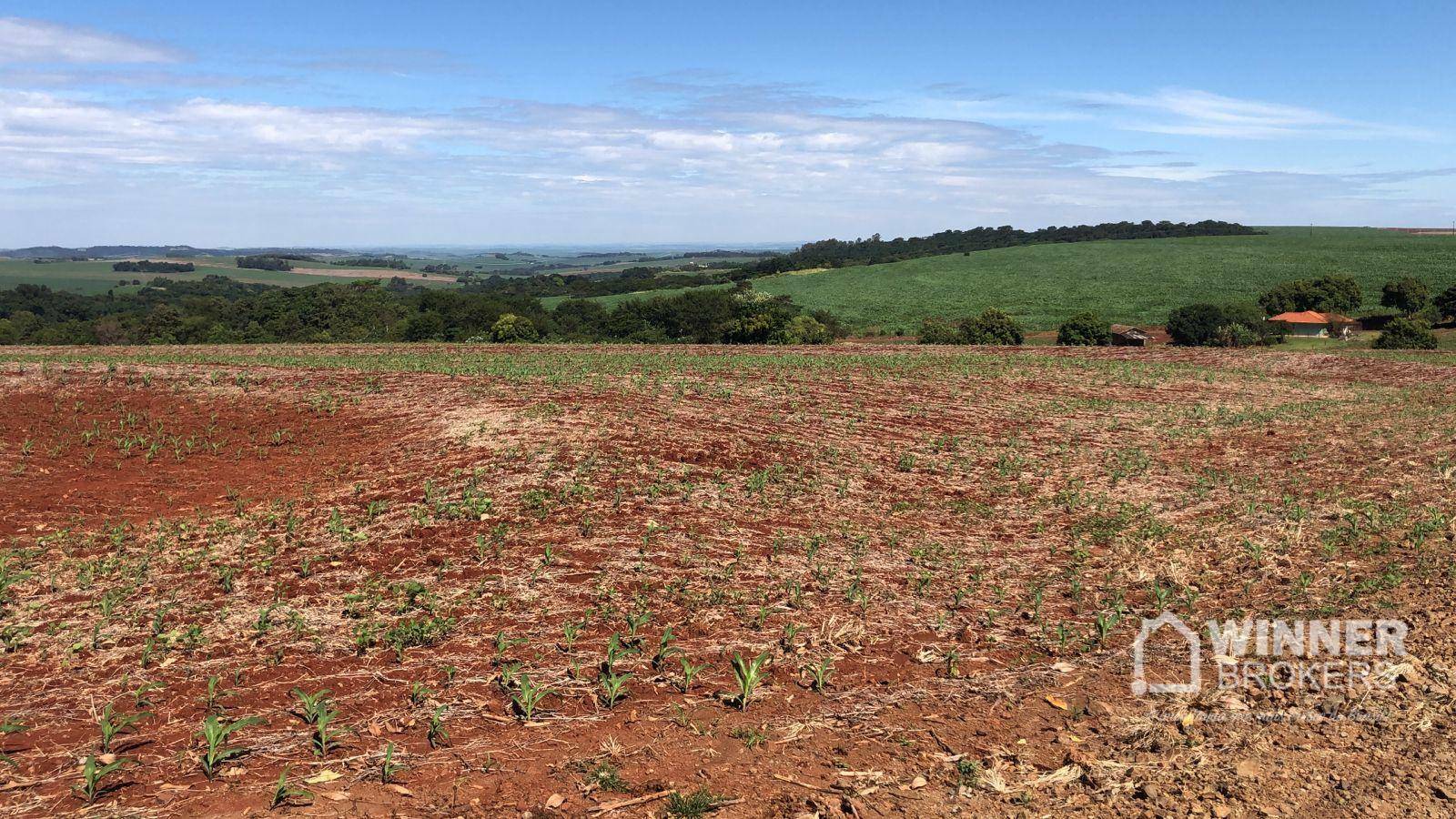 Terreno à venda, 1210000000M2 - Foto 4