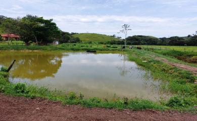 Fazenda à venda com 3 quartos, 17000m² - Foto 13