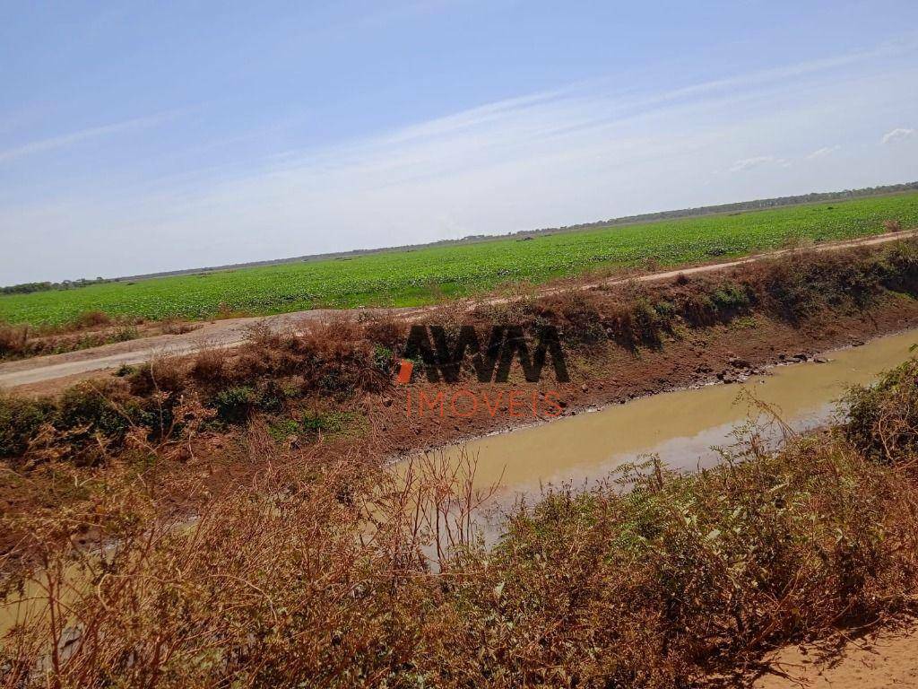 Fazenda à venda, 72600000M2 - Foto 1