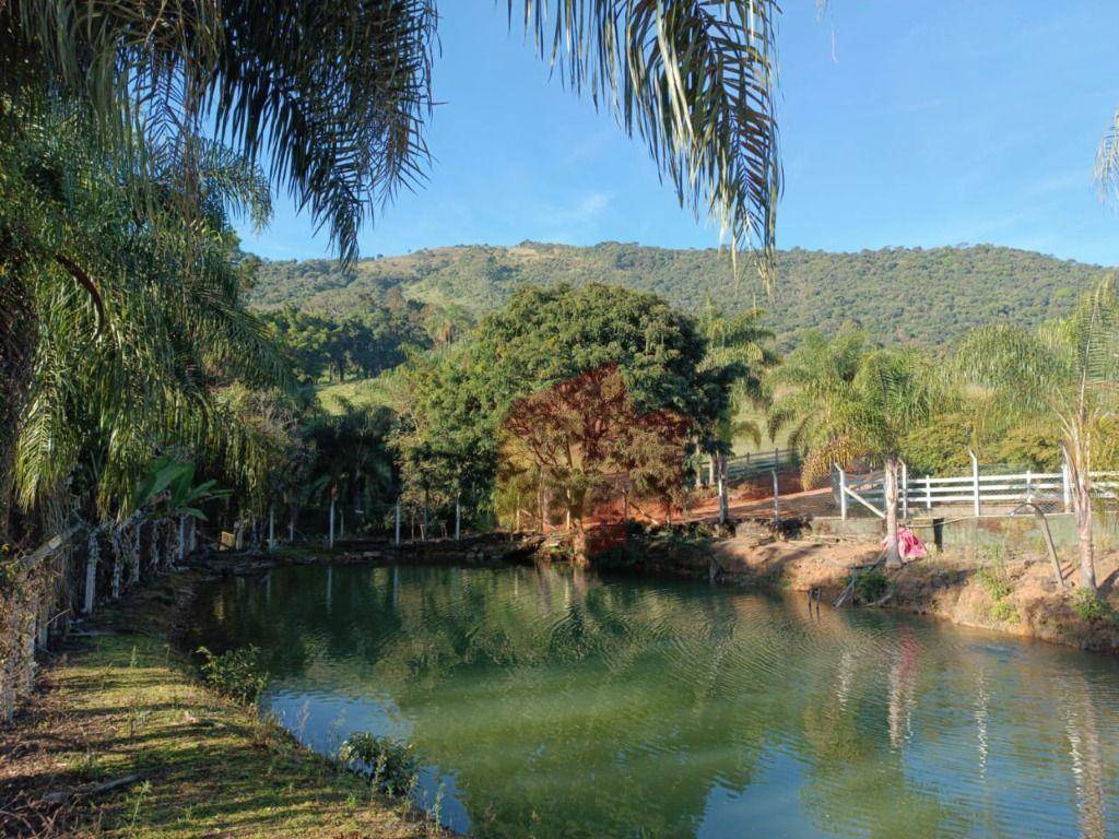 Sítio, 10 hectares - Foto 1