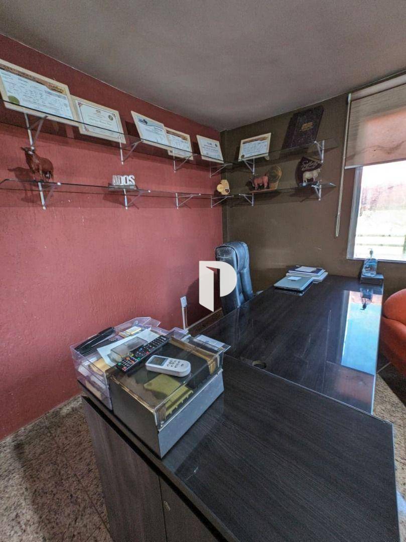 Fazenda, 510 hectares - Foto 5