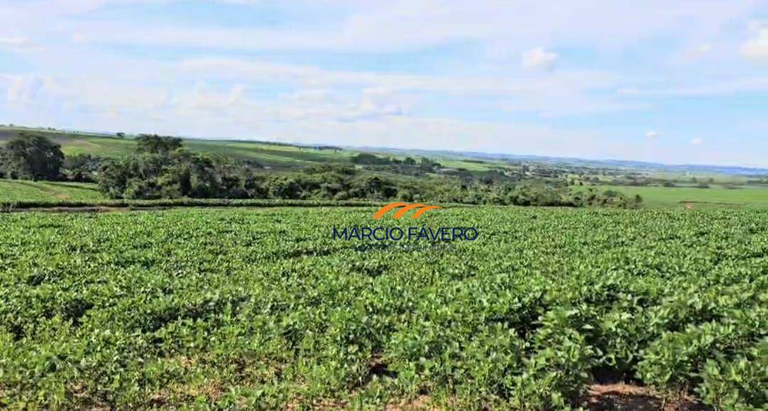 Fazenda, 194 hectares - Foto 2