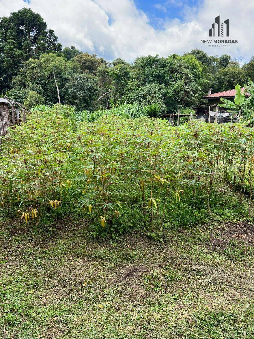 Chácara à venda com 4 quartos, 280m² - Foto 17