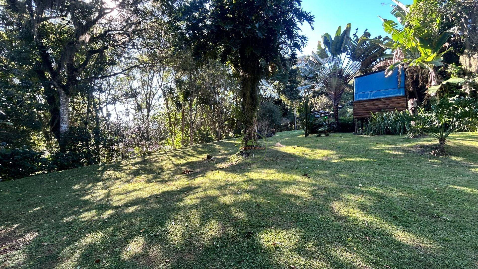 Sítio, 14 hectares - Foto 27