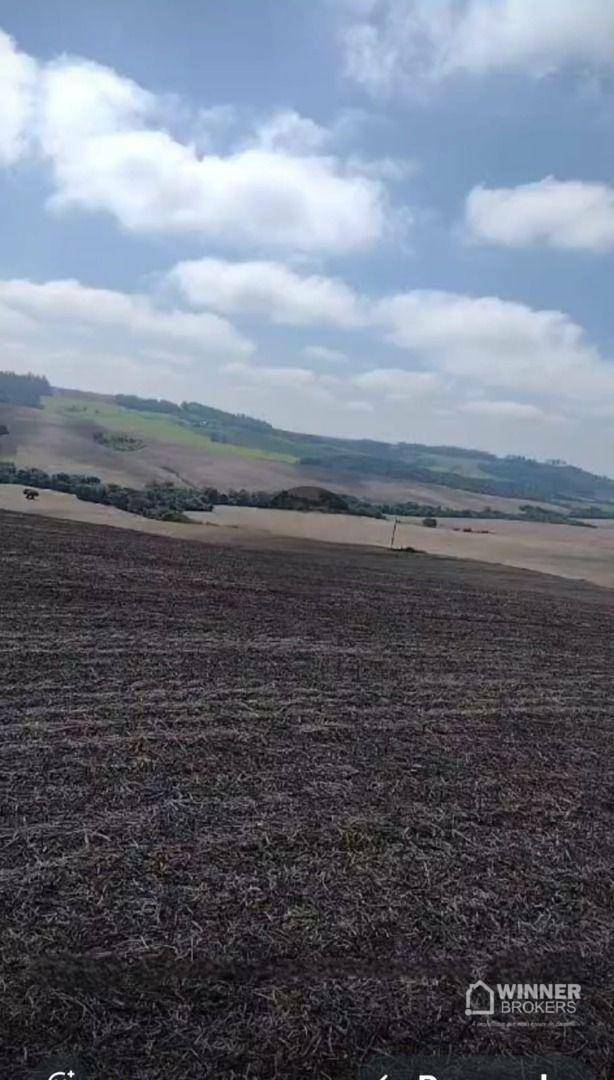 Fazenda à venda com 3 quartos, 3920000M2 - Foto 2