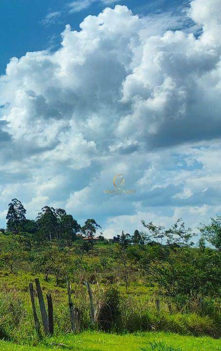 Terreno à venda, 29138M2 - Foto 4