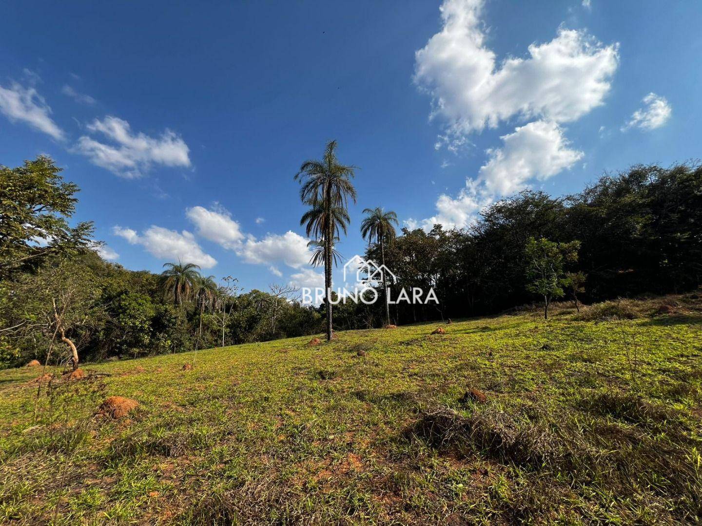 Terreno, 4 hectares - Foto 2