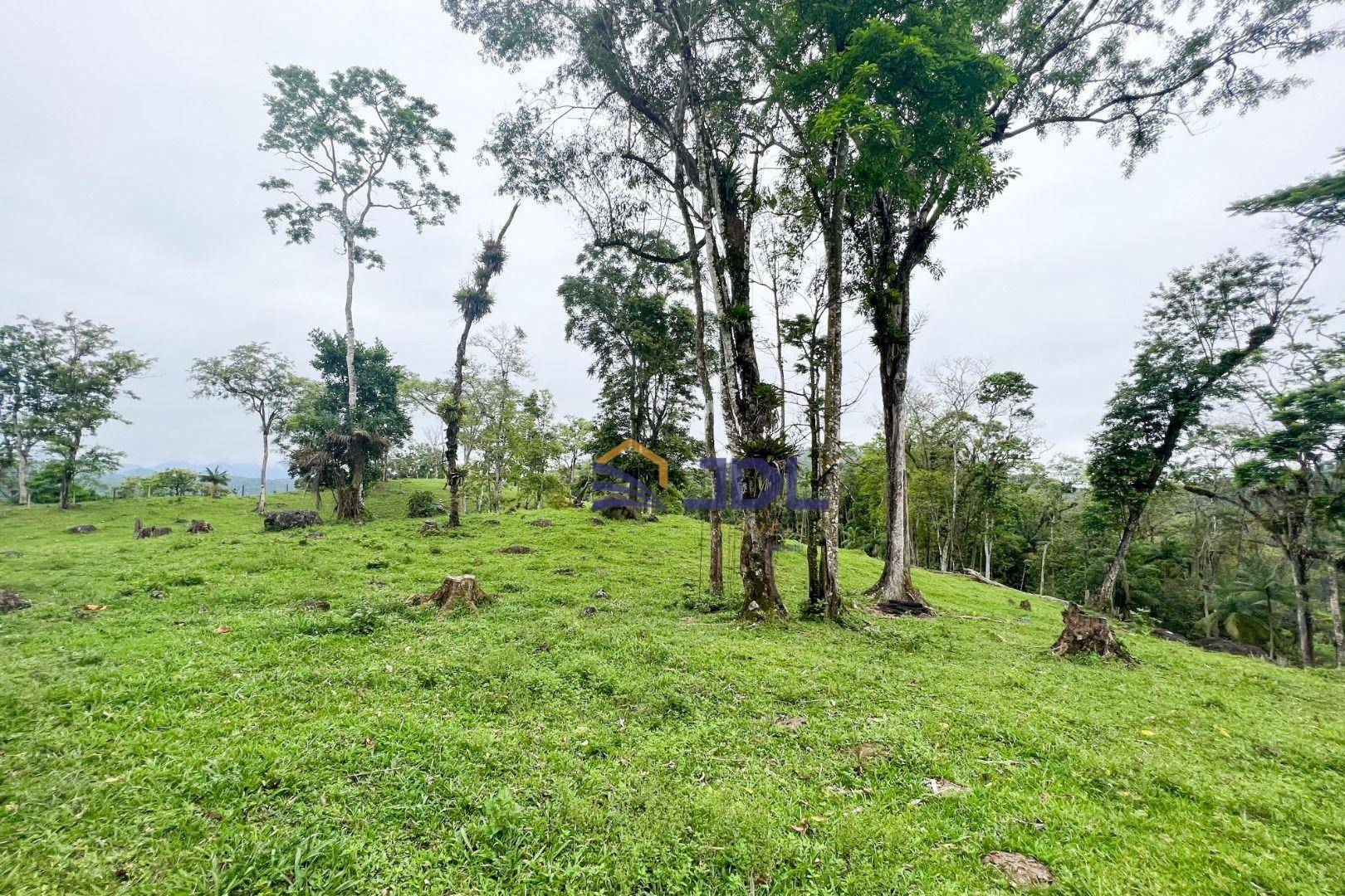 Sítio à venda com 3 quartos, 230000M2 - Foto 8