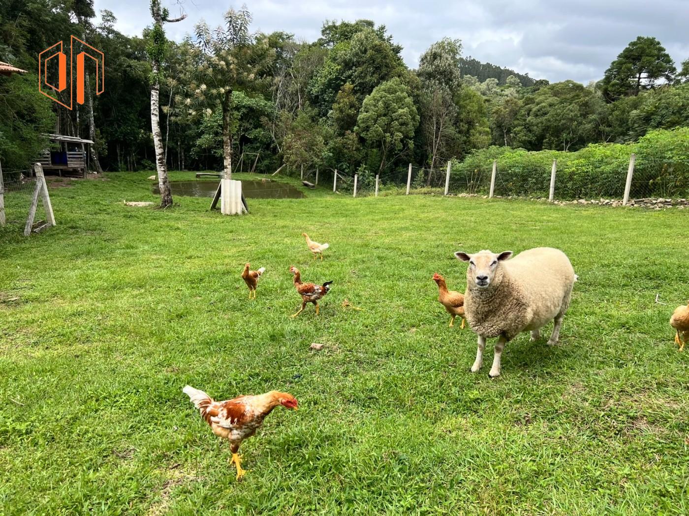 Chácara à venda, 3000m² - Foto 10