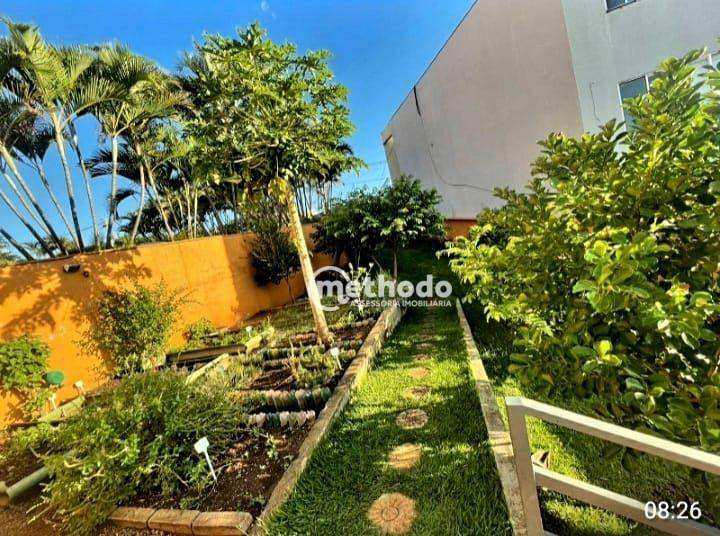 Apartamento à venda com 3 quartos, 74m² - Foto 32