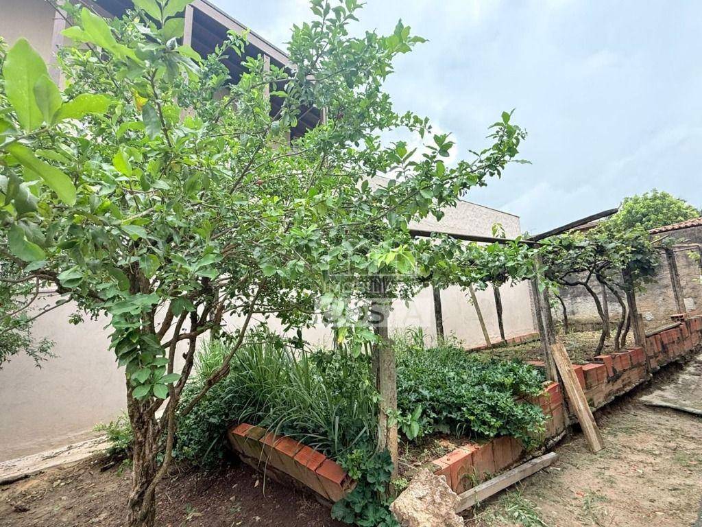 Chácara, 2 quartos, 1000 m² - Foto 2