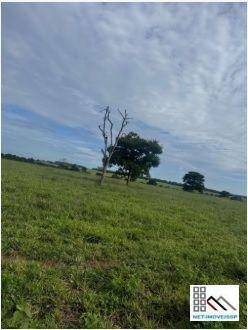 Fazenda à venda com 3 quartos, 220m² - Foto 6