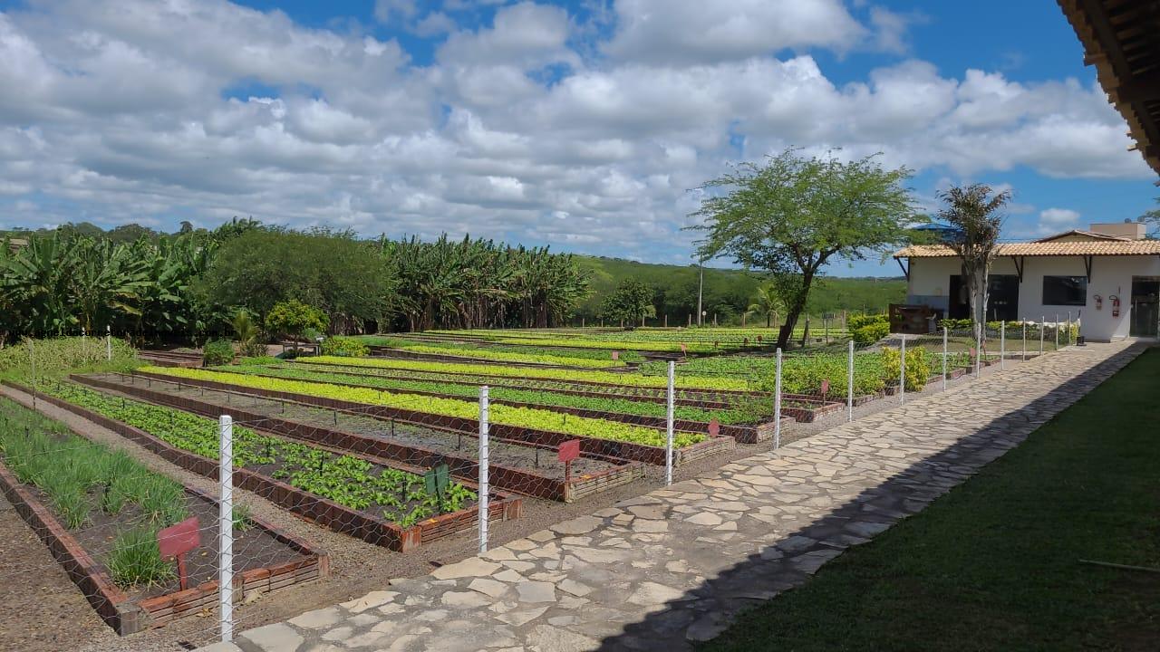 Terreno à venda, 750m² - Foto 19