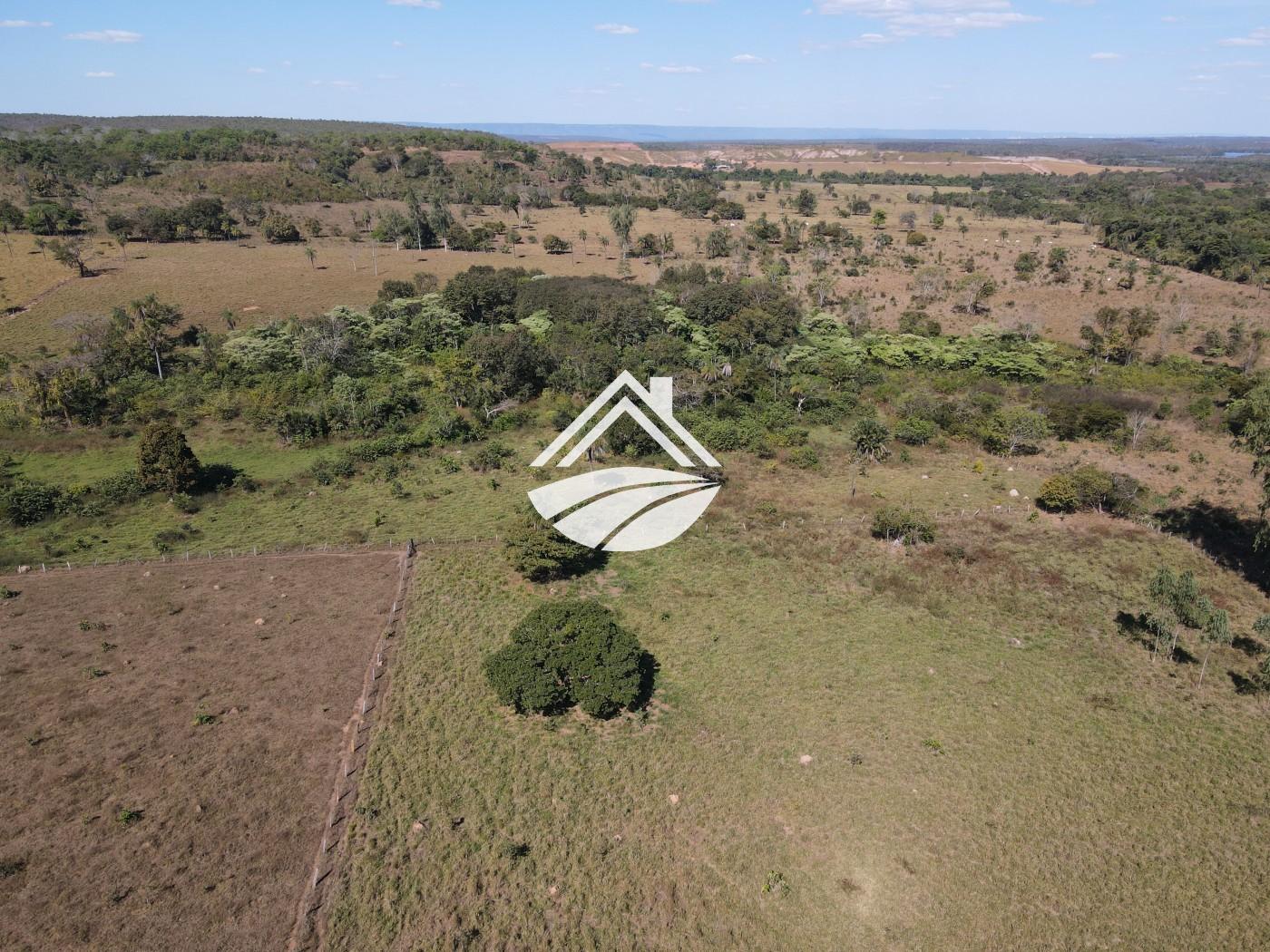 Fazenda à venda com 3 quartos, 452980m² - Foto 9