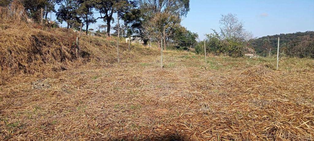 Loteamento e Condomínio à venda, 1000M2 - Foto 6