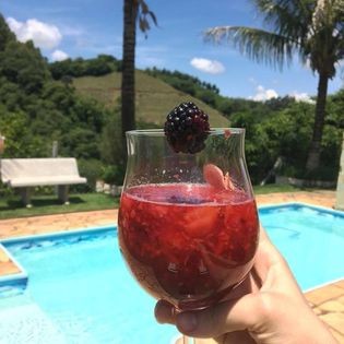 Fazenda-Sítio-Chácara, 20 m² - Foto 8