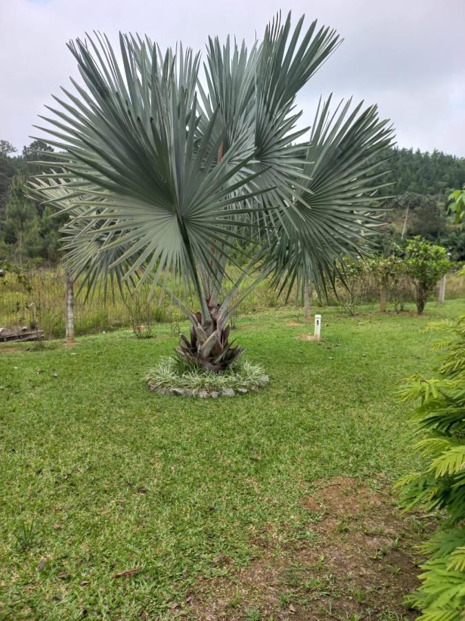 Chácara à venda com 3 quartos, 3700m² - Foto 5