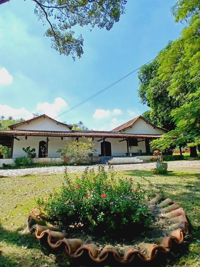 Fazenda à venda com 3 quartos, 26000m² - Foto 8