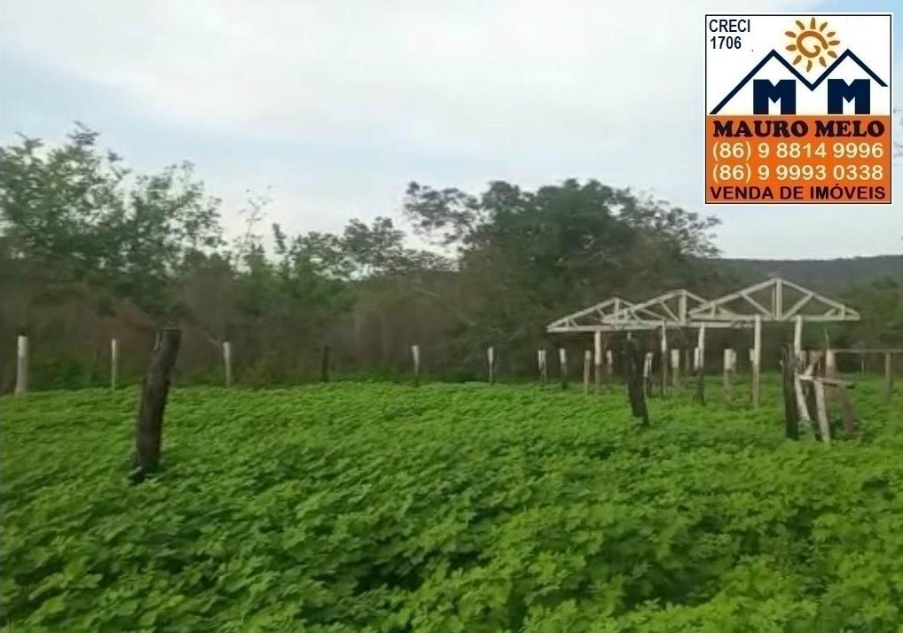 Fazenda-Sítio-Chácara, 42 hectares - Foto 4