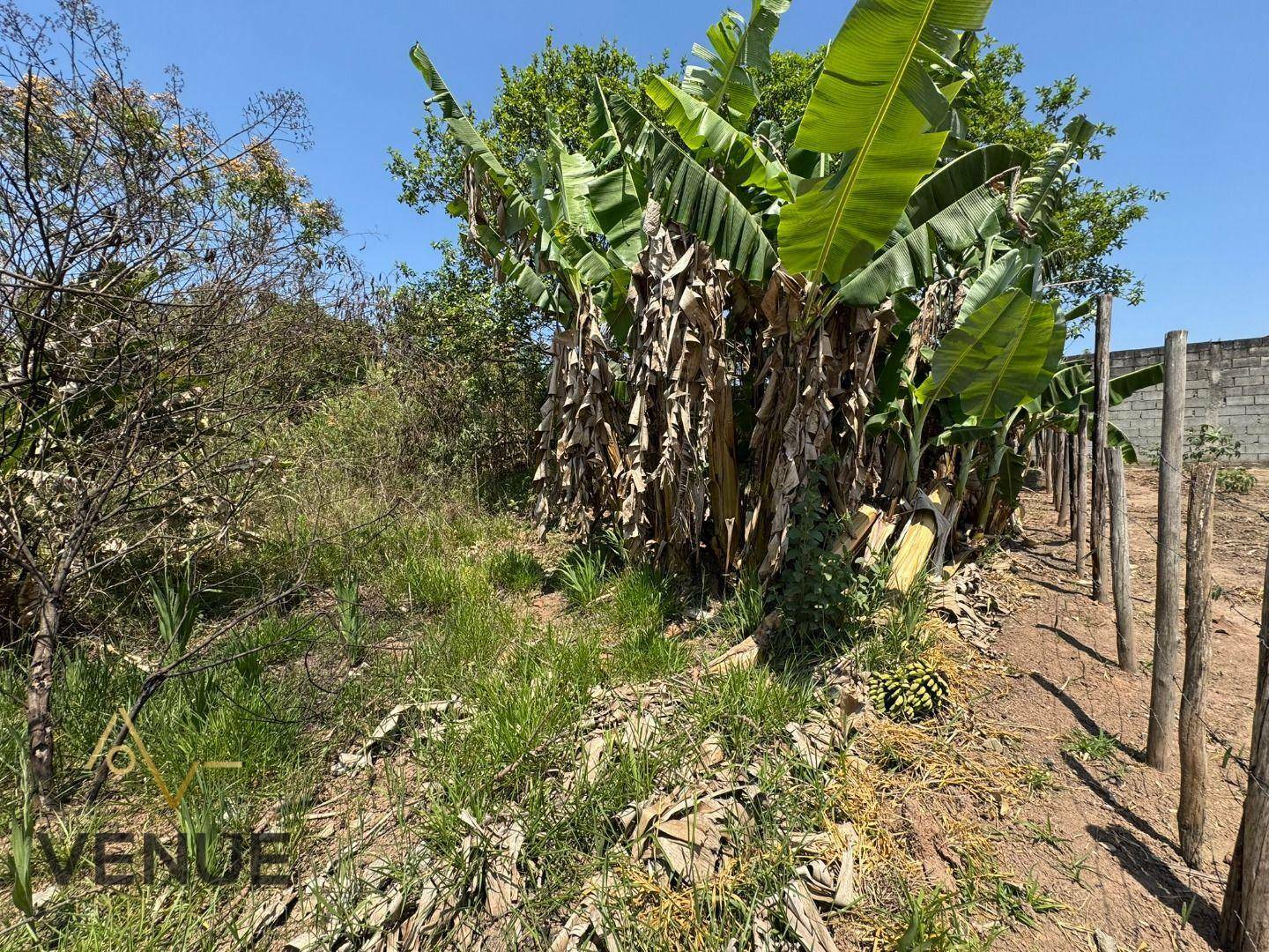 Terreno à venda, 180M2 - Foto 4