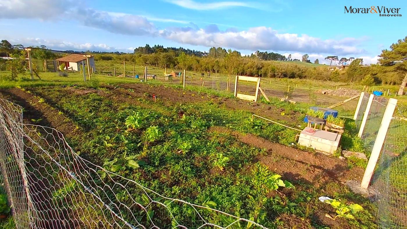 Fazenda à venda, 32800m² - Foto 14