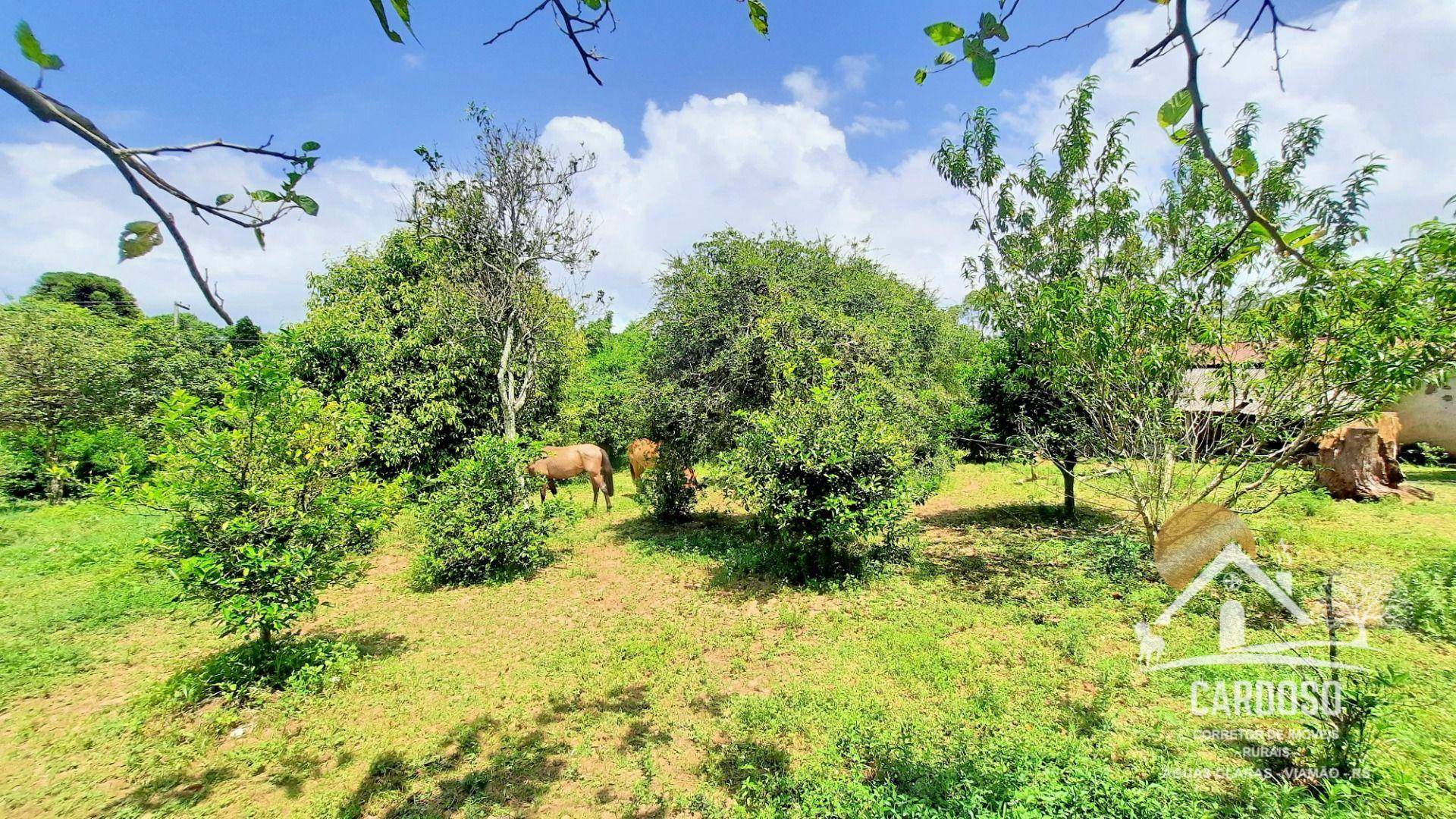 Terreno à venda, 5000M2 - Foto 2