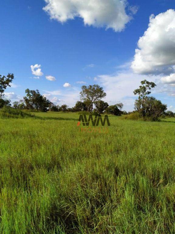 Fazenda, 4306 hectares - Foto 22