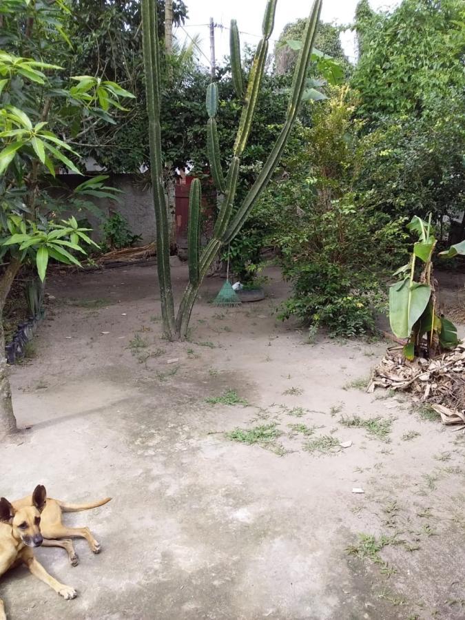 Casa à venda com 2 quartos, 200m² - Foto 6