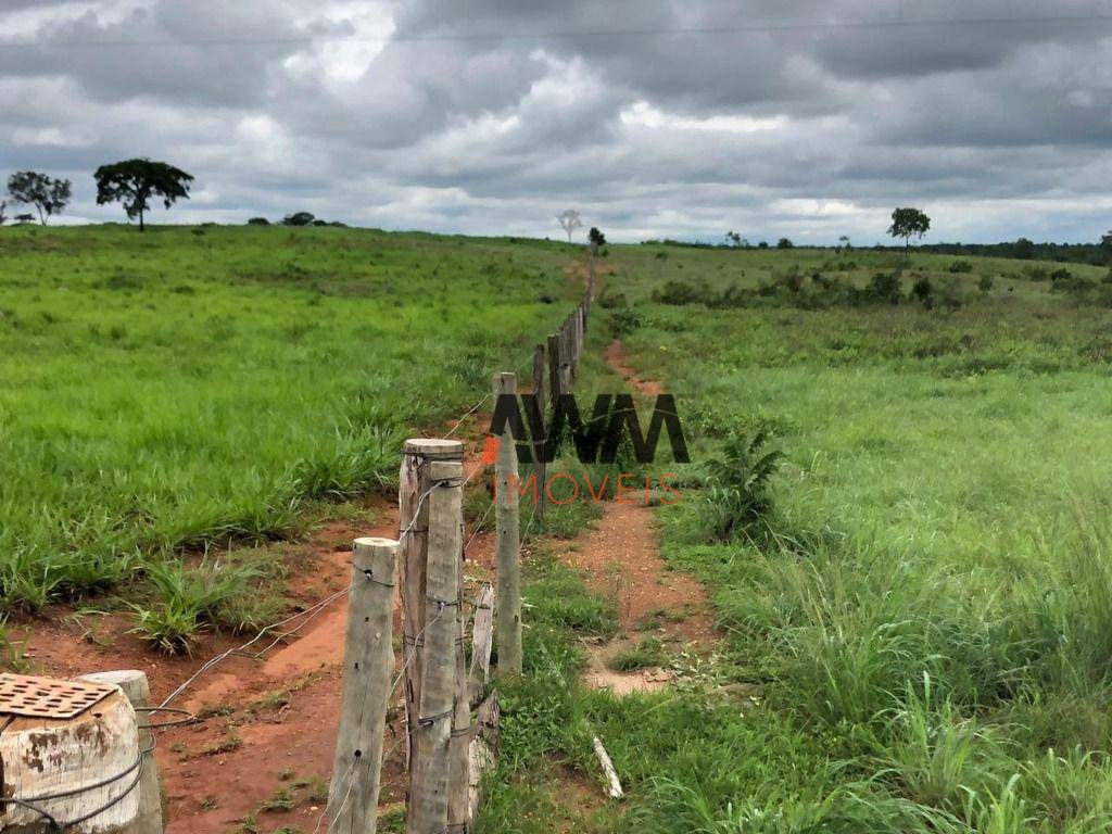 Fazenda à venda, 44286000M2 - Foto 17