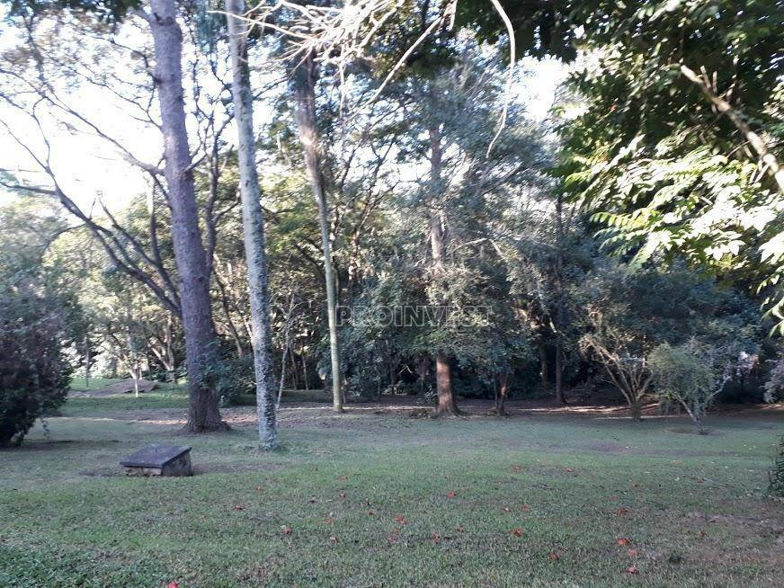 Terreno à venda, 24500M2 - Foto 2