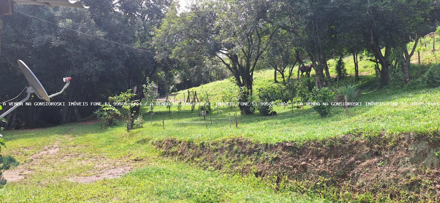 Chácara à venda com 2 quartos, 10000m² - Foto 16